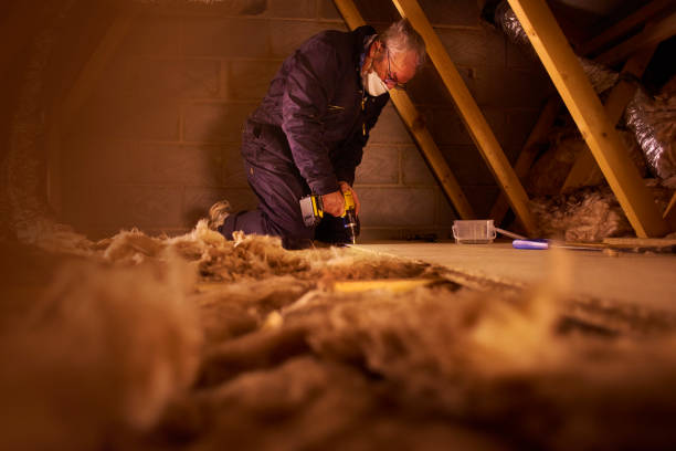 Best Commercial Insulation in College Park, MD