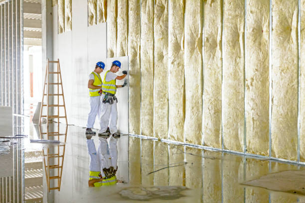Best Types of Insulation in College Park, MD